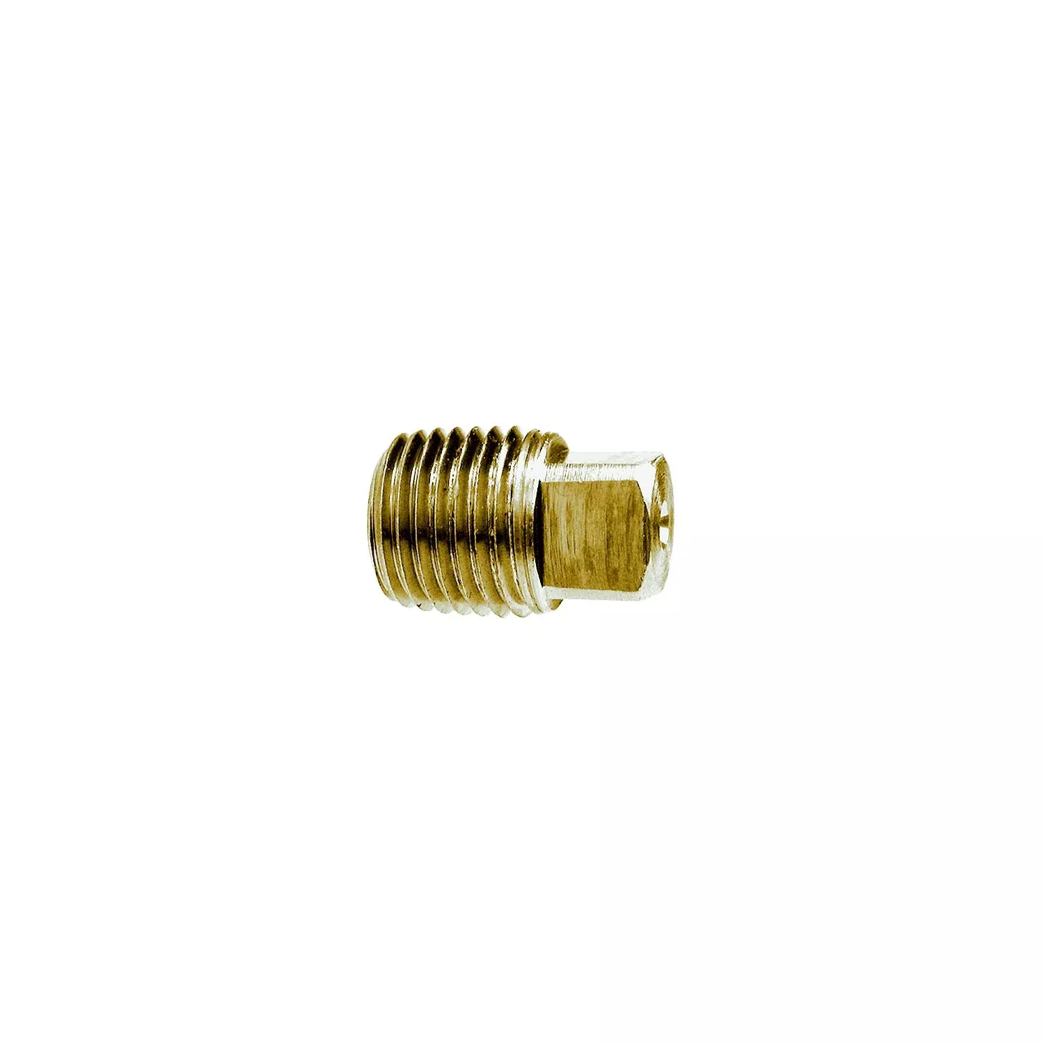 1-4-brass-sq-head-pipe-plug 1/4 Brass Sq Head Pipe Plug