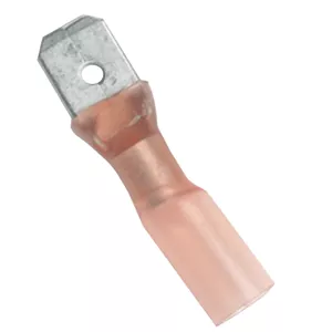ancor-22 Ancor 22