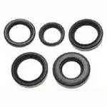 Sierra Oil Seal 18-2009