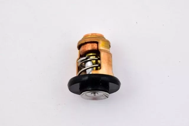 Yamaha F4-6-8-9.9-15-40-50-60 - T50-60 Thermostat 66M-12411-01-00